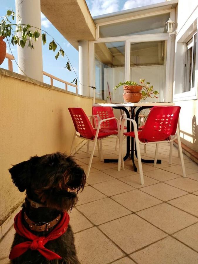 El Trastero Apartman Santa Marta de Tormes Kültér fotó